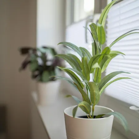 Hugos Design House Am Waldrand - Ruhig & Modern Apartament *